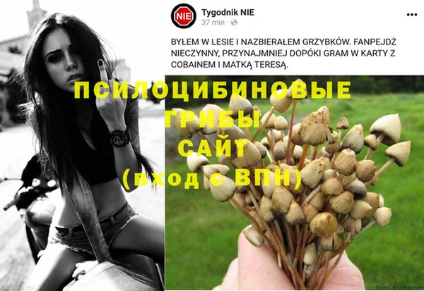 ешки Богородск
