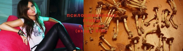 гашиш Богородицк