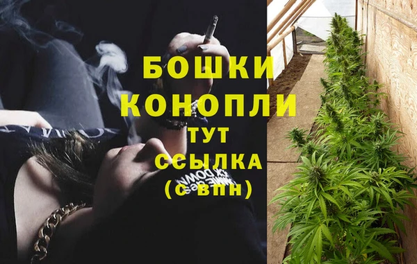ешки Богородск