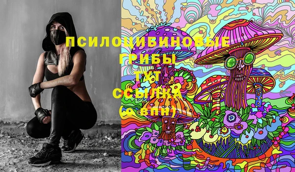 гашиш Богородицк