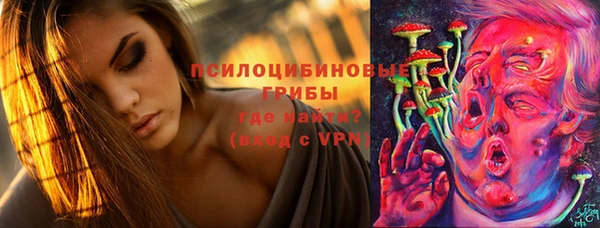 гашиш Богородицк