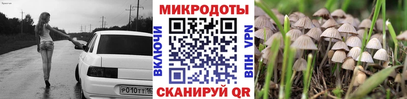 Псилоцибиновые грибы Cubensis ОМГ ОМГ как зайти Невельск
